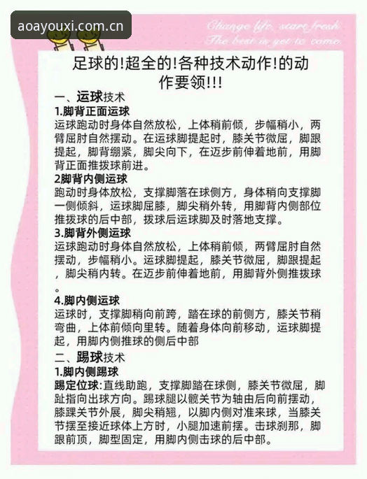 AOA体育平台全新使用教程：从入门到精通的操作指南