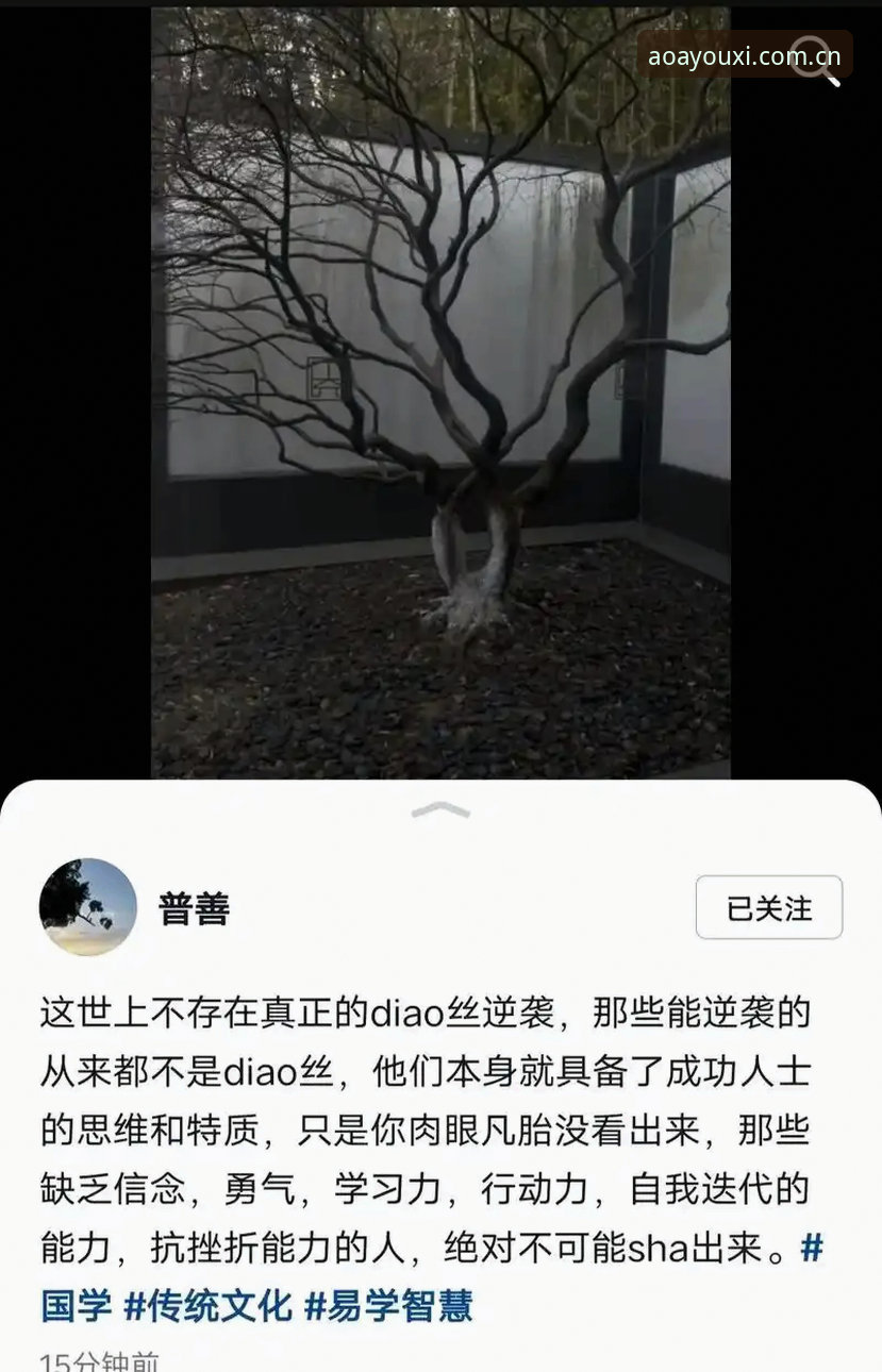 如何高效完成爱游戏体育官方下载必备？从版本迭代到用户实测的深度解析